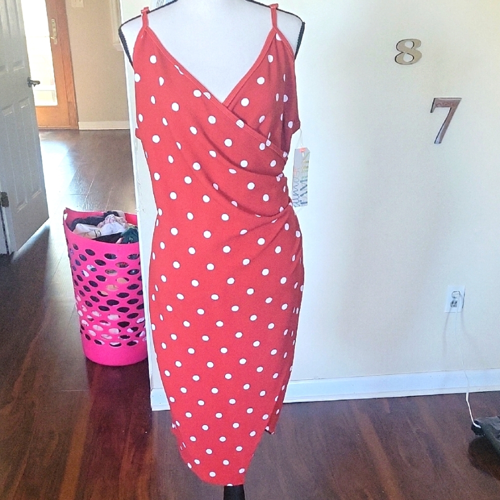 Brick Red Polka Dot Dress